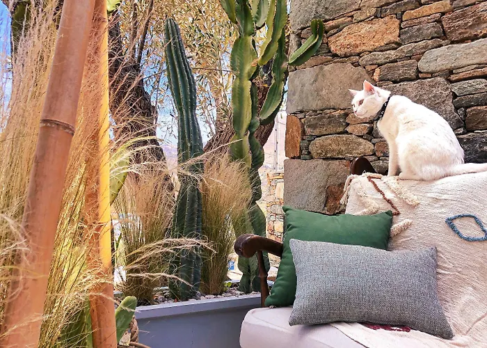 Pino Di Loto Boutique B&B