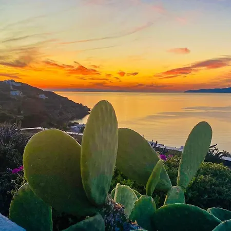 Pino Di Loto Boutique