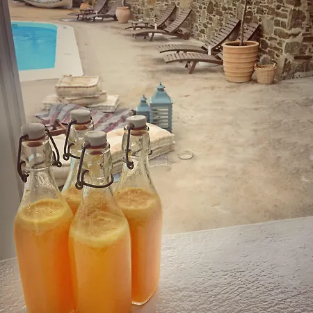 Bed and Breakfast Pino Di Loto Boutique